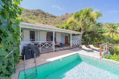 VILLA PETIT SAINT LOUIS POOL 4