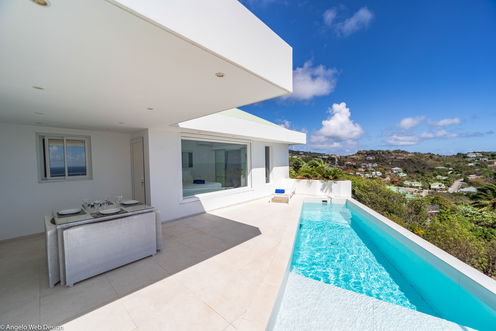 VILLA NIKAIA POOL & TERRACE 1