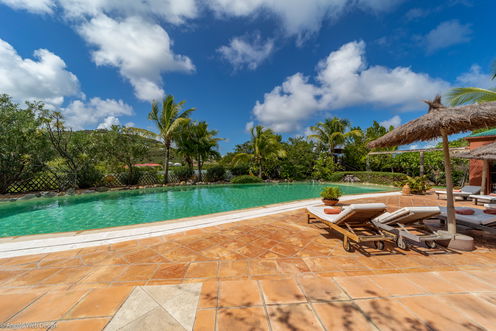 VILLA AFRICAN QUEEN POOL & TERRACE 1.jpeg